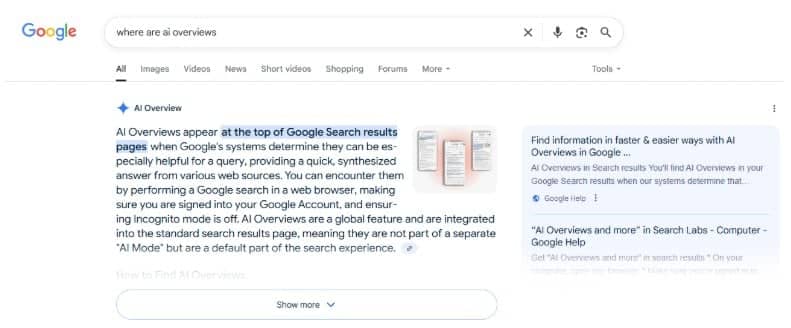 ai overview search result
