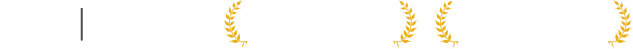 google agency awards finalist categories symbols, finalist in online sales, finalist in breakthrough agency category - desktop version.