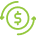 dollar icon