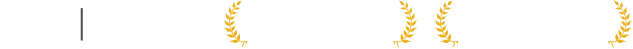 google agency awards finalist categories symbols, finalist in online sales, finalist in breakthrough agency category - desktop version.