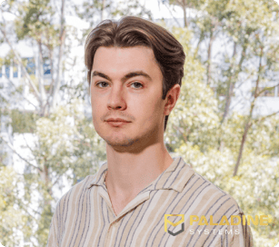 mark - paladine systems software developer