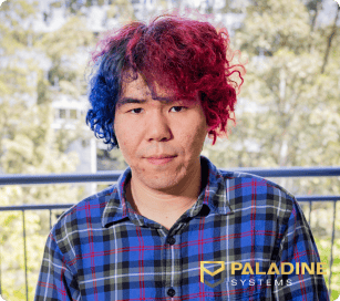 steve - paladine systems software developer