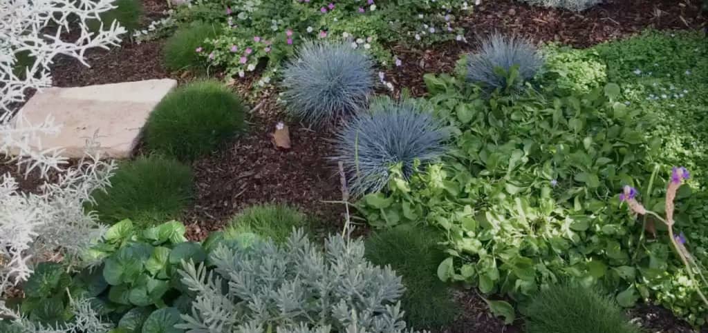 appleseed gardening banner