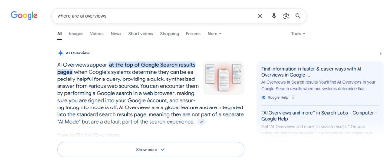 ai overview search result