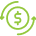 dollar icon