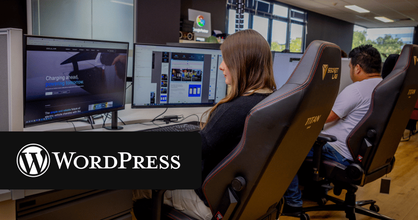 wordpress development process showing custom code and performance optimisation
