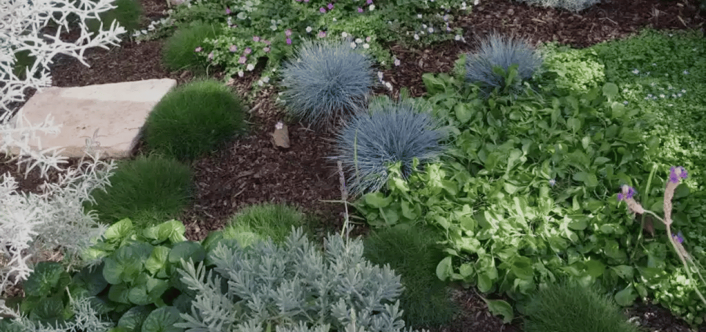 appleseed gardening banner