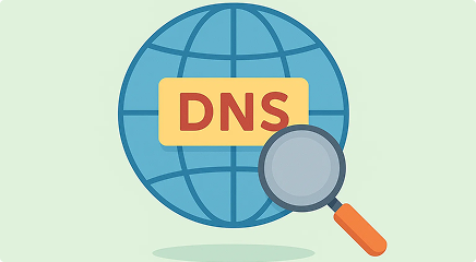 dns lookup asset