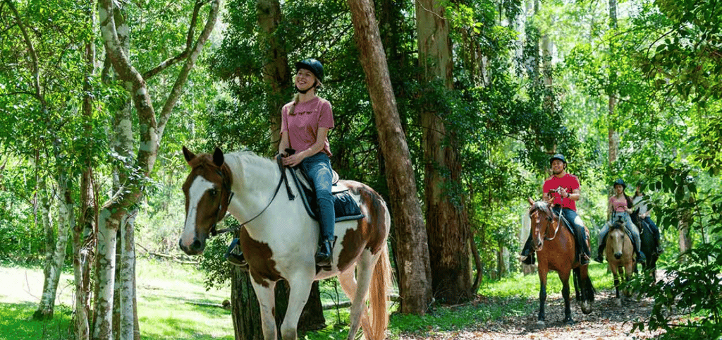 glenworth valley banner