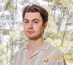 mark - paladine systems software developer