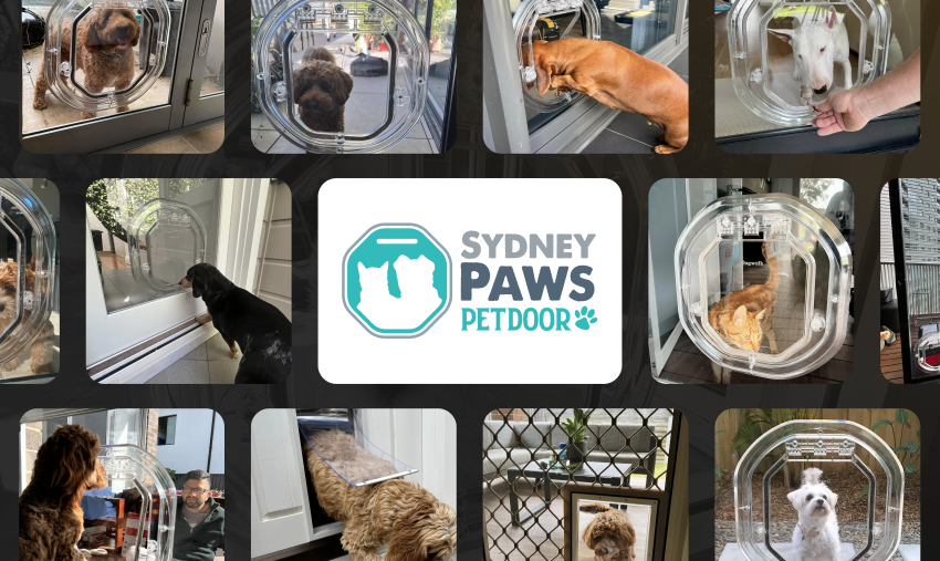 sydney paws doggos