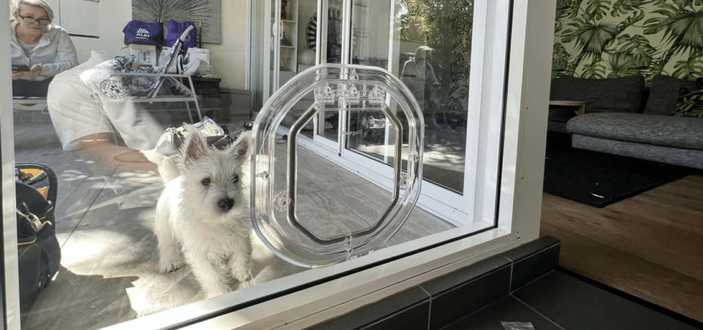 sydney paws petdoor banner