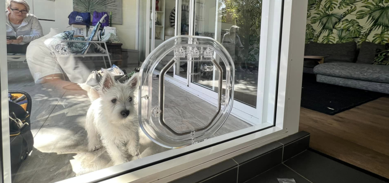 sydney paws petdoor banner