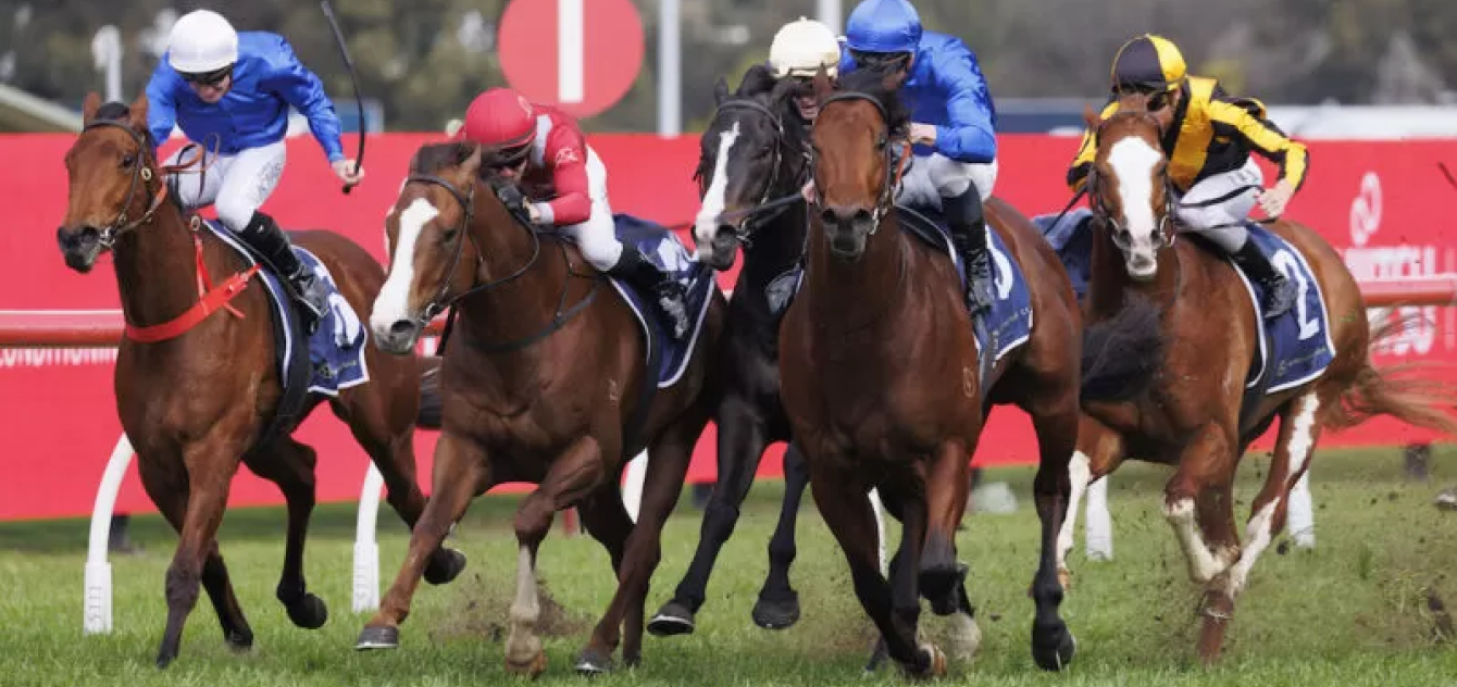 the sporting base banner