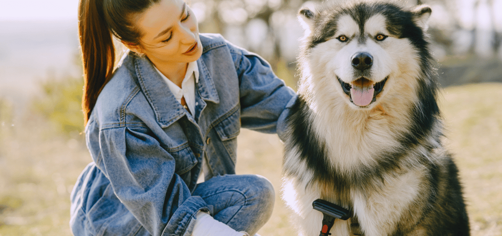 woofers world banner