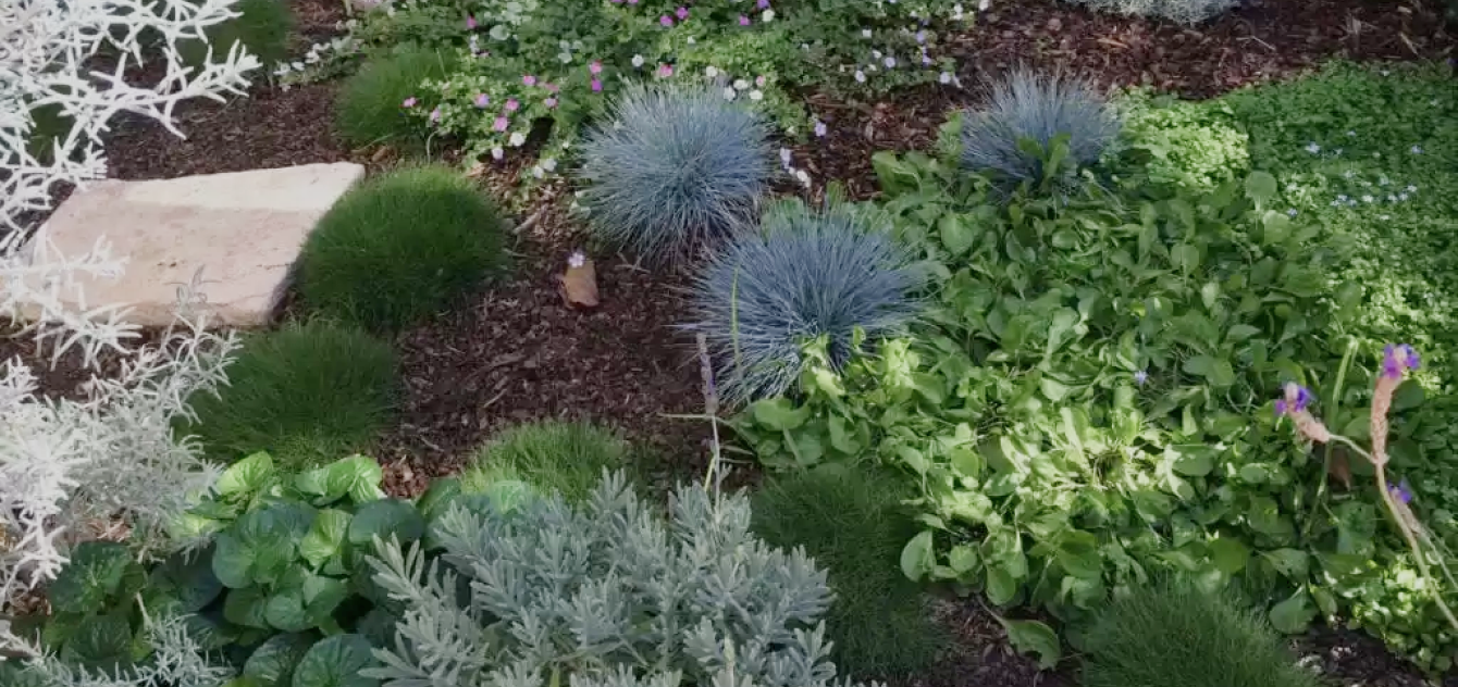 appleseed gardening banner