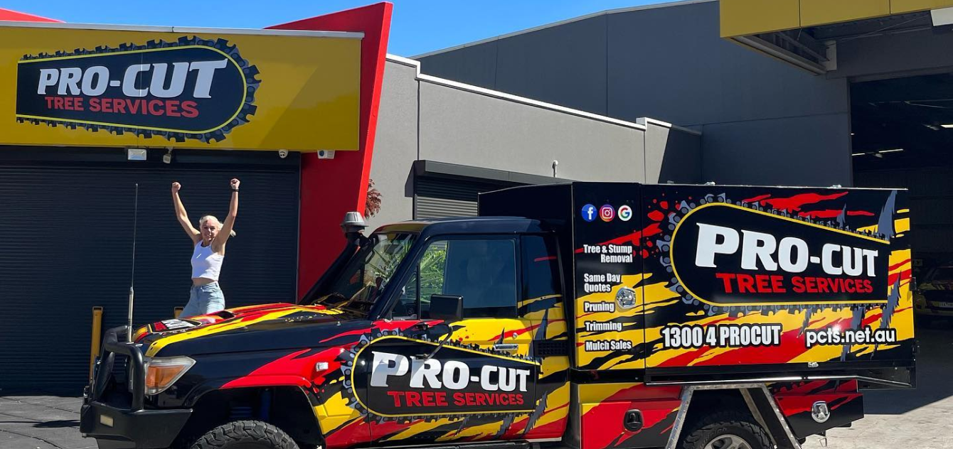 pc tree removal banner