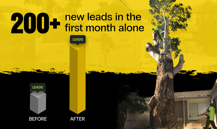 Procut Trees Results Banner