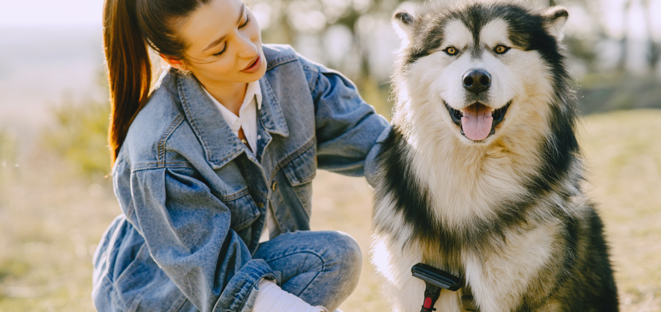 woofers world banner